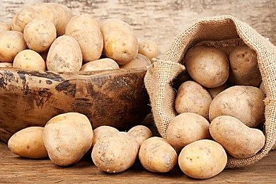 《收获日3》（PAYDAY3）首个更新Patch，多处修复与优化